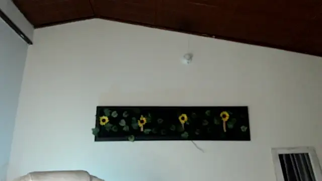 gabriella_live webcam