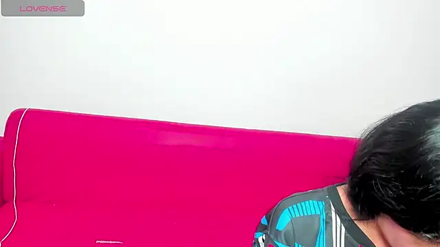 destruction_group_69 webcam