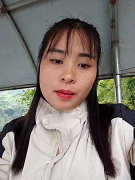 Squirrel-Pear webcam