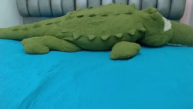 Madison_Copers webcam