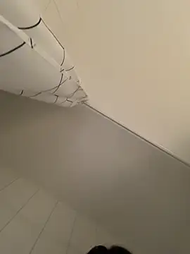 TheCinderella webcam