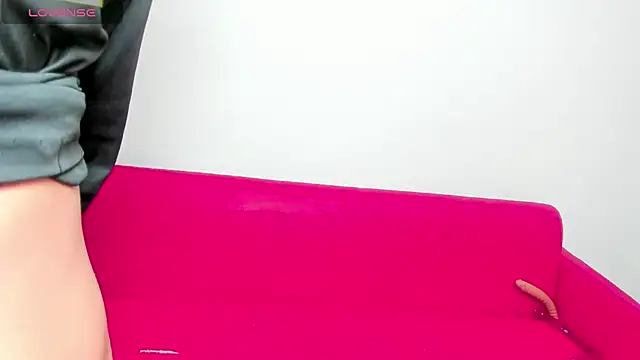 destruction_group_69 webcam