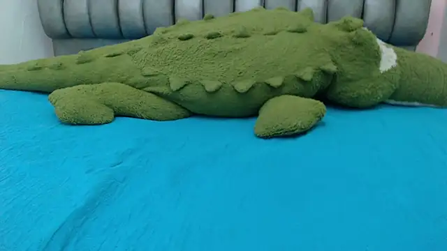 Madison_Copers webcam