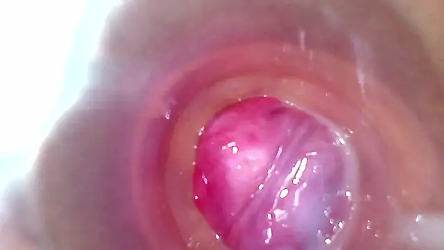 shannon_kinne_ webcam