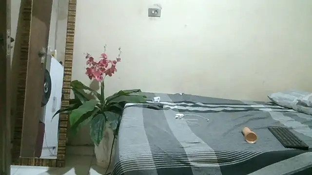 pornstarbrezillian webcam