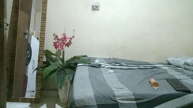 pornstarbrezillian webcam