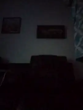 ReallyReallyReal webcam