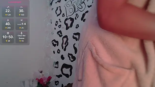 Sheridan_brtz webcam