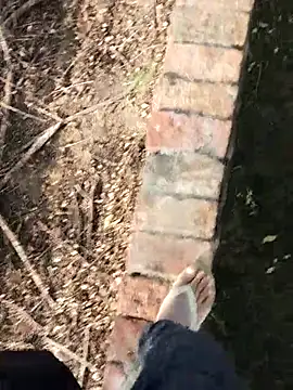 INTERNATIONAL0001 webcam