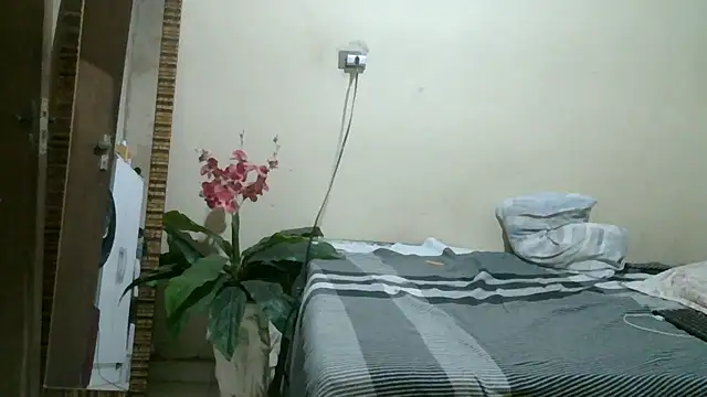 pornstarbrezillian webcam