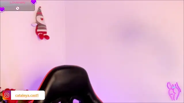CATALEYA_CAST1 webcam