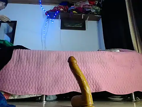 sashastarfire webcam