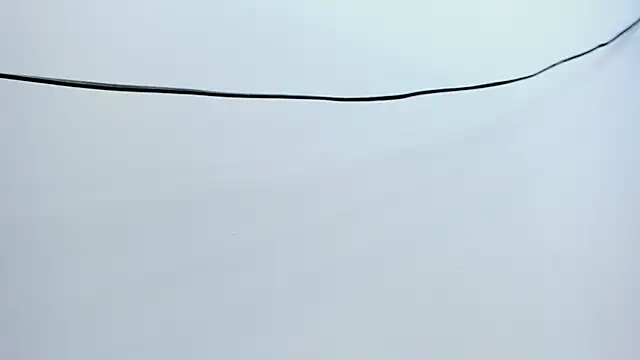 abigail_smith15 webcam