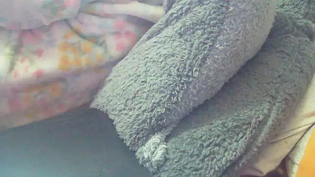 Playful_MILF_Demi webcam