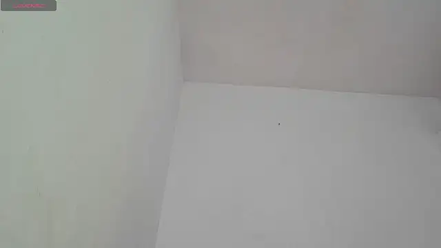 Lucastorrez01 webcam