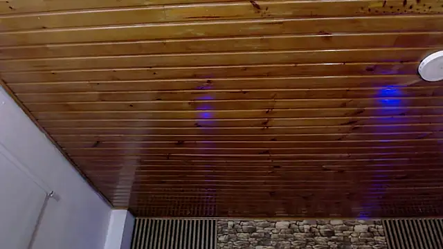 aurora_and_trixx webcam