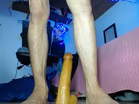 sashastarfire webcam