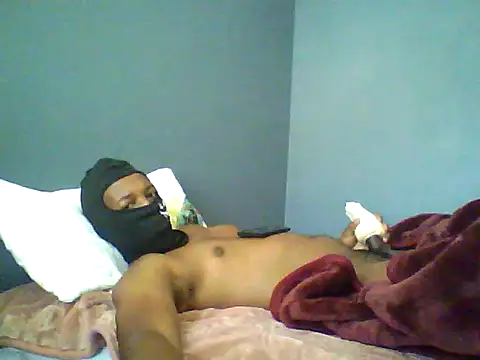 TitularAdaption webcam