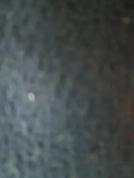 indianbulldelhi webcam