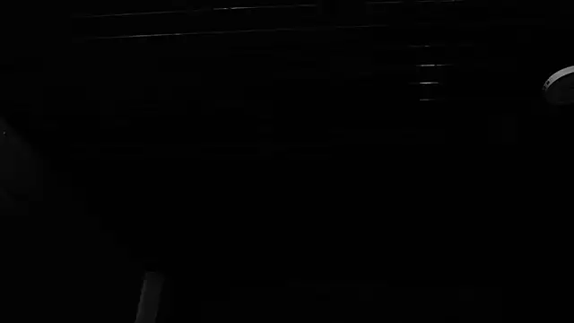 aurora_and_trixx webcam