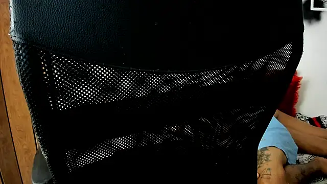 YuleimysAndAlex webcam