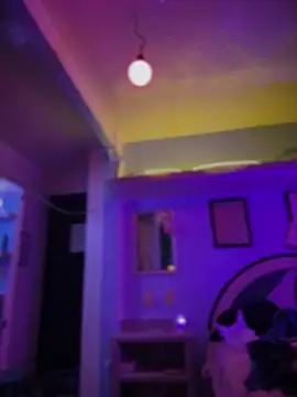 loganpeny (F young) - DOMI