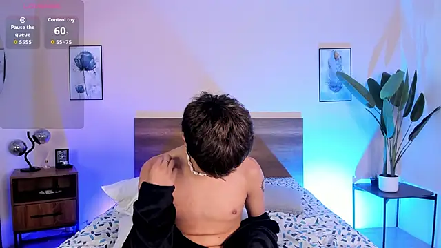 Brian-Ausslos webcam