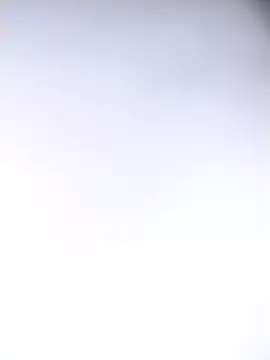 AlferezzSolvajo webcam