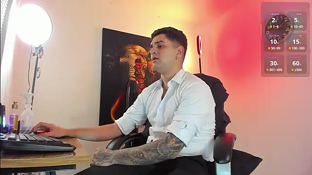 Nicolas_Fellener webcam