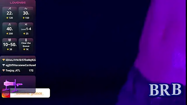 DominicPrince webcam