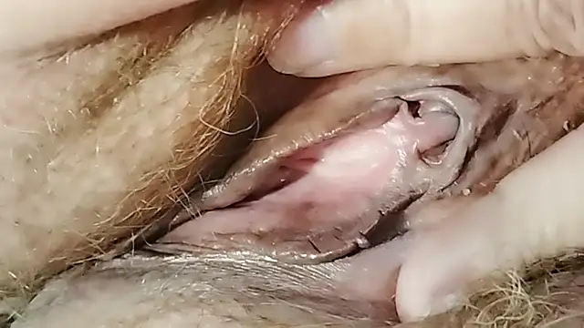 Siberia-Taiga webcam