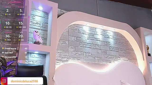 dominic_de_luca webcam