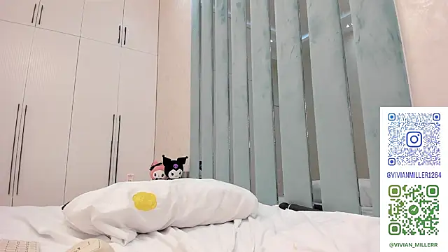 VivianMiller_ webcam