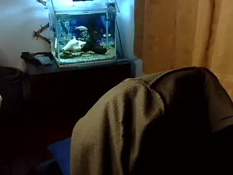 venusfranco_94 webcam