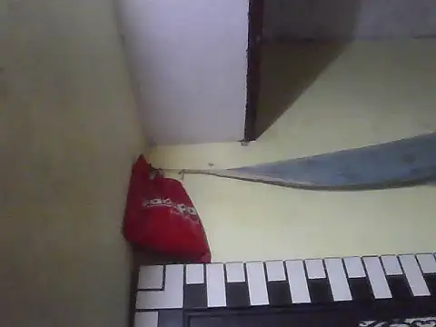 Stubborndesiboy webcam