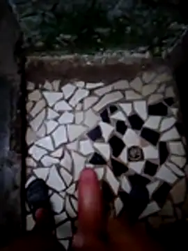 SALCEDO_041198 webcam