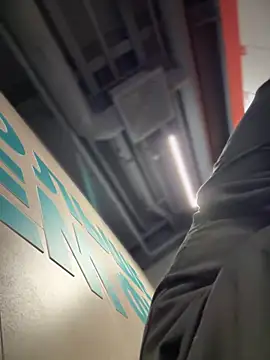 ZhenjaPoledance webcam