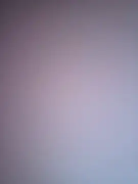 TheSouthernKing webcam