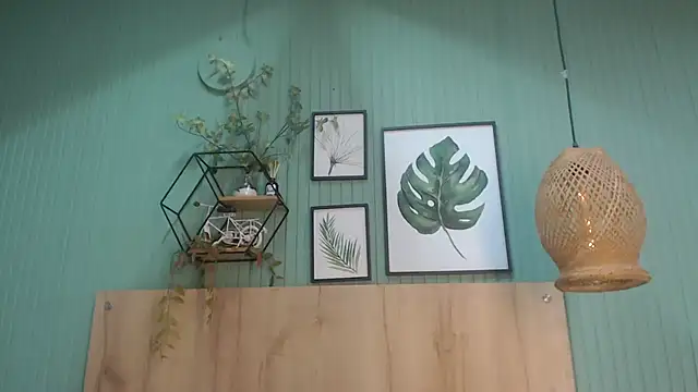 george_jonnes webcam