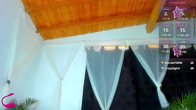 esteveen_ortegas_ webcam