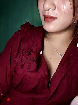 Linksys_nicee webcam