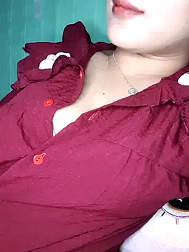 Linksys_nicee webcam