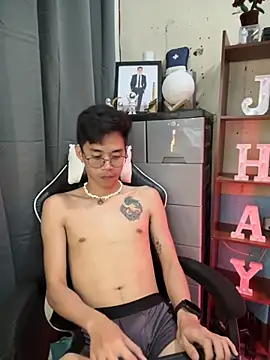 Prince-Harrison webcam