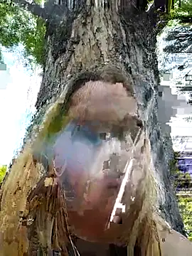 Public_Katrisha webcam