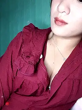 Linksys_nicee webcam