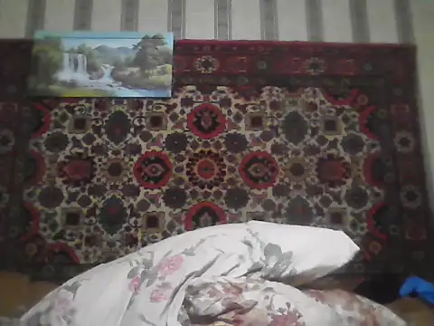 AlferezzSolvajo webcam