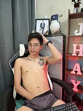 Prince-Harrison webcam