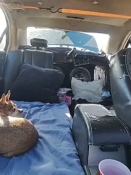 DatingProfile_USA_43_str8 webcam