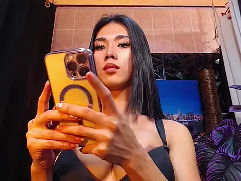 TRANSPORNIDOL webcam