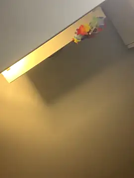 1ninefellababy webcam